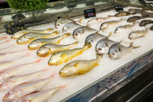 黃花魚水產(chǎn)市場超市生鮮海鮮美食攝影圖 st攝影